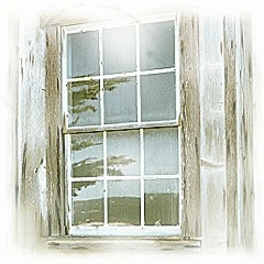 window